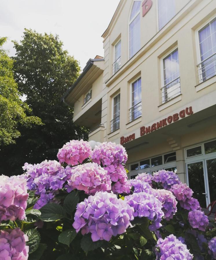 B&B Vila Vidikovac Arandjelovac Exterior photo