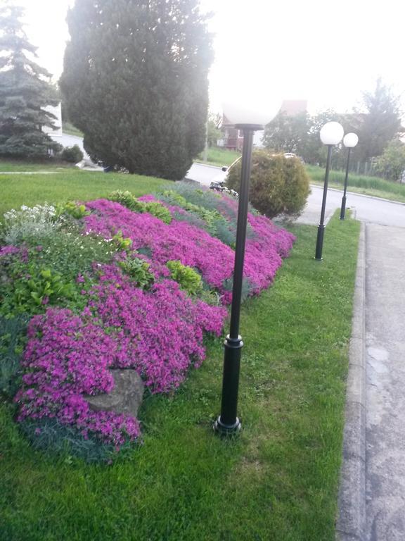 B&B Vila Vidikovac Arandjelovac Exterior photo
