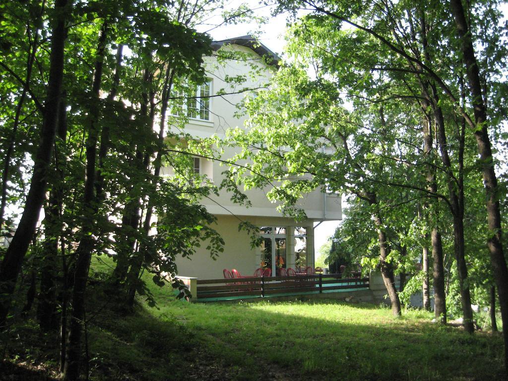 B&B Vila Vidikovac Arandjelovac Exterior photo
