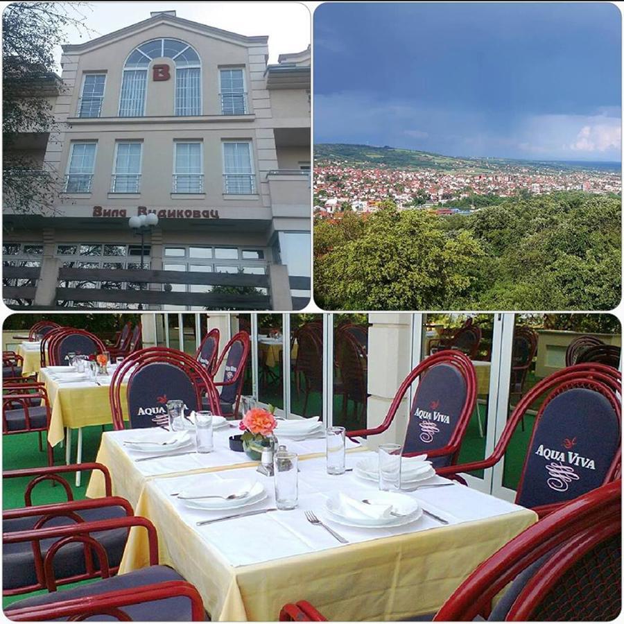 B&B Vila Vidikovac Arandjelovac Exterior photo